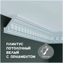 Карниз с орнаментом Fabello Decor C 1010, плинтус потолочный белый грунтованный из полиуретана, профиль для потолка, 64*76*2000 мм